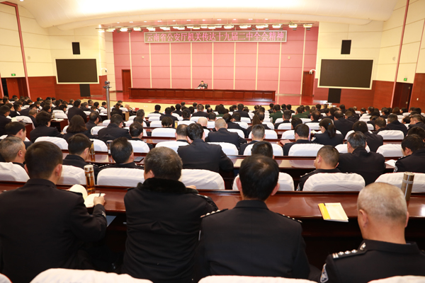 云南省公安厅召开党员民警大会传达学习党的十...